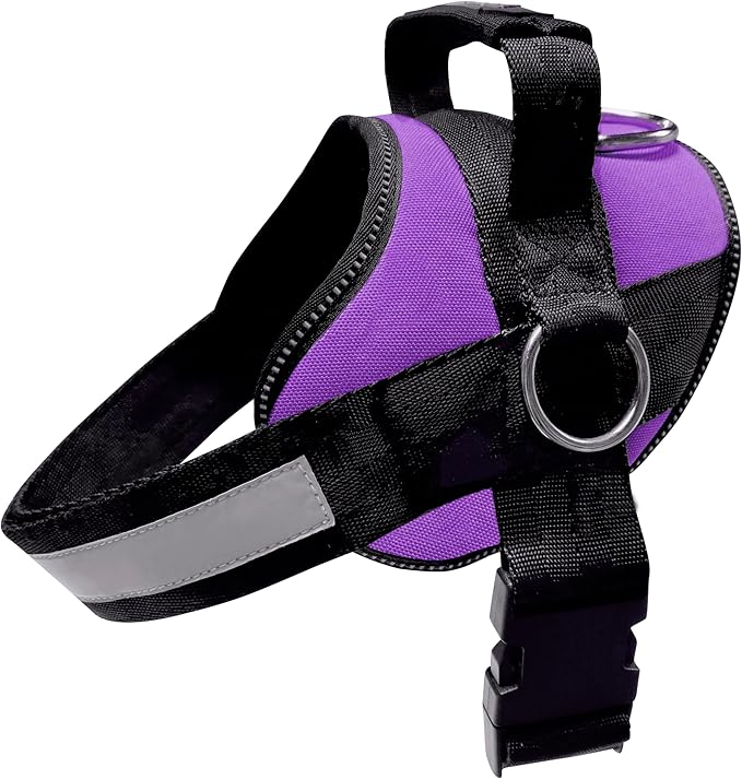 Joyride Basic Essential Dog Harness 1.0 - Small, Medium, Large Dogs, No-Pull Pet Vest with 3 Side Rings for Leash Placement, Adjustable for Training (Purple Majesty, XL)