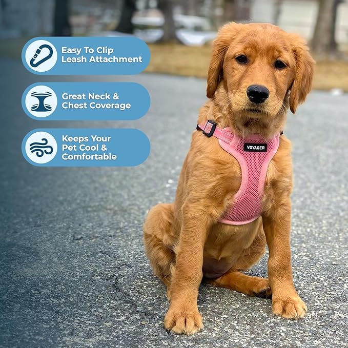 Best Pet Supplies Voyager Mesh Dog Breathable Harness Reflective Stitching, All Weather Adjustable for Walking Training, or Running - Heavy Duty & Durable, Harness (Pink), S
