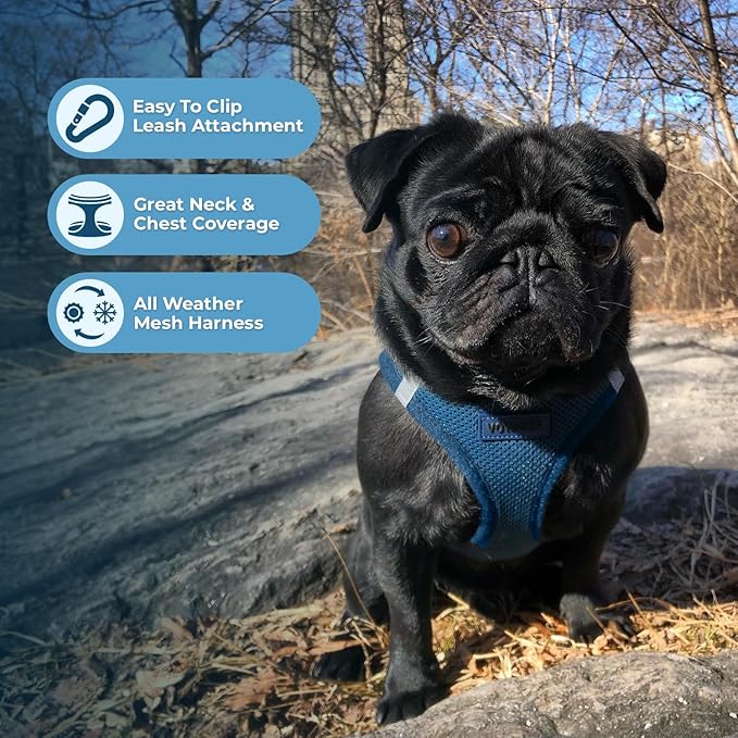 Best Pet Supplies Voyager Step-in Air Harness - All Weather Mesh, Reflective, No Pull Harness for Dogs, Cats - Secure with Hook & Loop Fastener, Buckle, Double D-Rings - Blue, XXXS