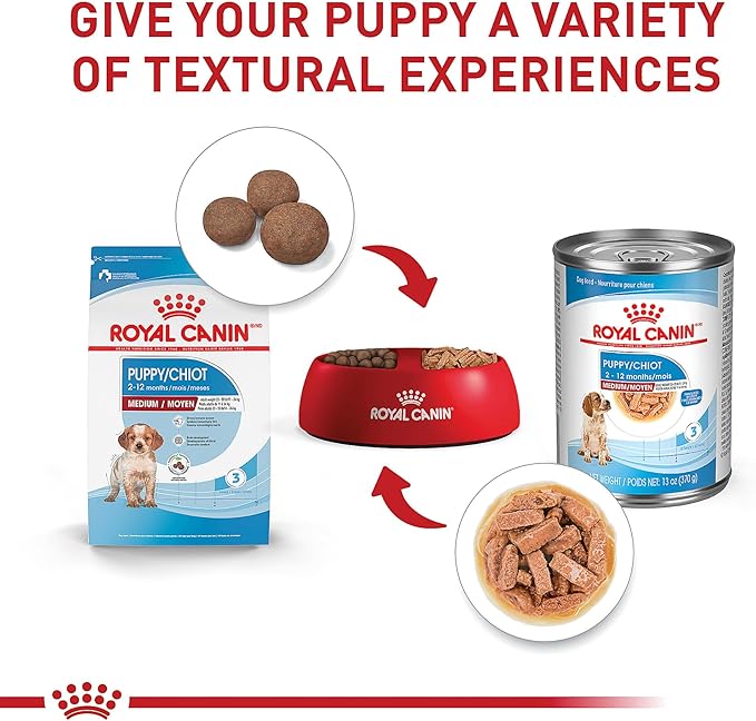 Royal Canin Size Health Nutrition Medium Puppy Dry Dog Food, 4 lb Bag