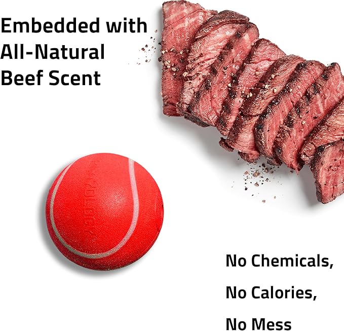 Playology Dog Toys | Squeaky Chew Ball - Bouncy Durable Floating Fetch Ball for Dogs | Medium Beef Scented Toy - Easy to Clean and Made from Non Toxic Materials