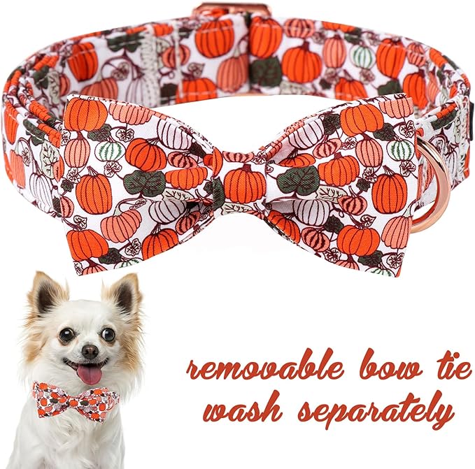 Unique Style Paws Halloween Day Dog Collar with Bow Pumpkin Cotton Dog Collars for Small Medium Large Dogs