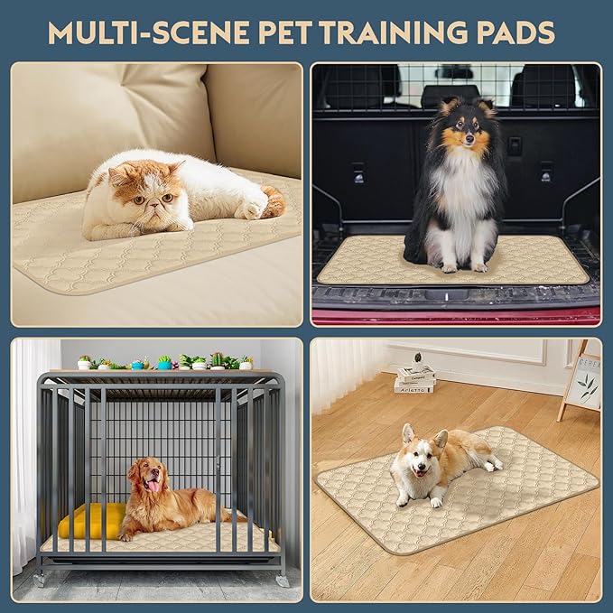 Washable Pee Pads for Dogs - 2 Pack Reusable Pee Pads，Waterproof Puppy Pads，Pet Training Pads，Super Absorbent with Dog Paw Shape Non-Slip Backing (Cream, 31" X 36" - 2 Pack)