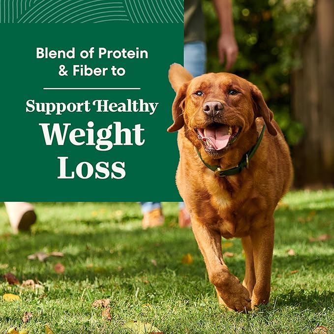 Nutro Natural Choice Adult Healthy Weight Dog Food, Lamb & Brown Rice Recipe, 30 lb. Bag