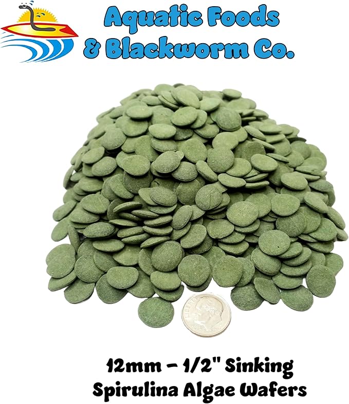 Aquatic Foods Inc. Wafers of Spirulina, Algae & Veggie 12mm - 1/2" Small Sinking Wafer for Shrimp, Snails, Crabs, Crayfish, Catfish, Plecos, All Tropical Fish, Turtles, AFI Wafers...11oz Small Jar