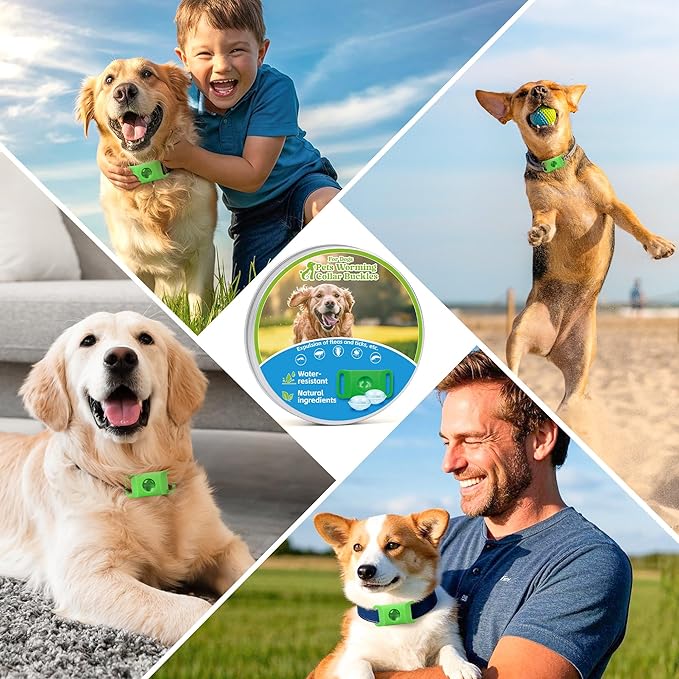 Natural Dog Tag for Flea & Tick Prevention – Waterproof Collar Pendant 2Pack with 4 Extra Refills, Safe for All Breeds, Collar Not Included,Green