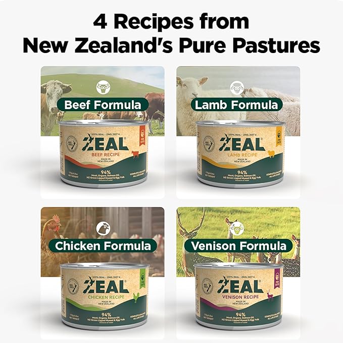 ZEAL New Zealand Wet Cat Food – High Protein, Grain-Free with Superfoods (Chicken & Salmon, 3.17oz Can, 24-Pack)