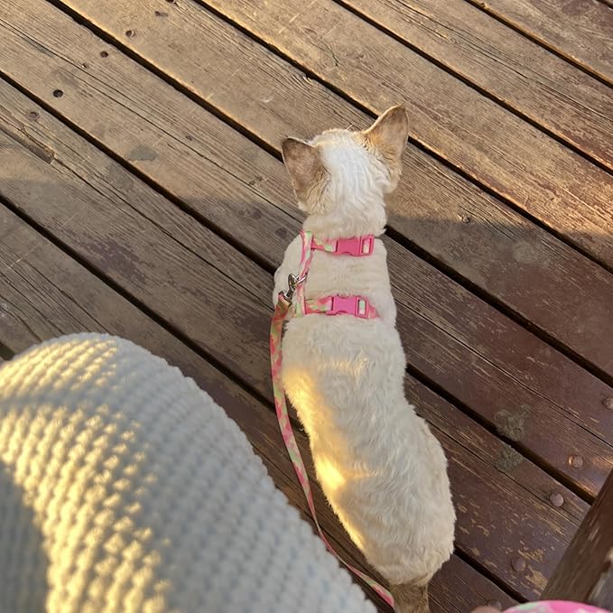 azuza Cat Harness and Leash Set for Safe Walking and Travel, Escape Proof Cat Harness, Lightweight Soft and Comfortable, Adjustable Kitten Harness for Small Medium Large Cats, Pink Camo