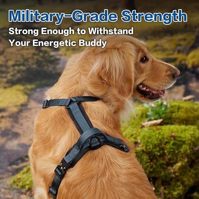 PawsPassion Dog Harness for X-Large Dogs, No Pull Dog Harness Easy Walk with Metal Hardware, Ergonomic Y-Shaped Design, Soft Padding, Padded Handle, Durable High-Tensile Nylon (Nightfall, XL)