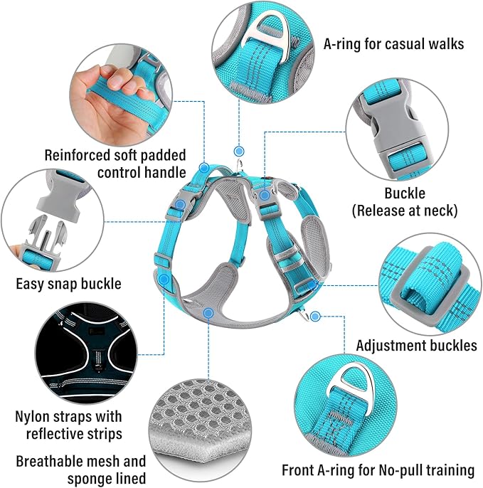 Plutus Pet No Pull Dog Harness, Release at Neck, Reflective Adjustable Dog Vest Harness, Easy Control Handle for Walking, for Small Medium Large Dogs, Cyan, L