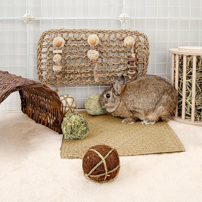 andwe Small Animals Play Balls Rolling Chew Toys & Gnawing Treats for Rabbits Guinea Pigs Chinchilla Bunny Degus - Pet Cage Entertainment Accessories (Pack of 4)