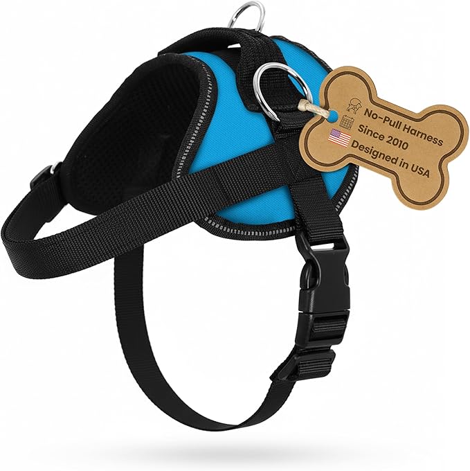 Bark Appeal Aqua Blue No-Pull Dog Harness for XS to Small Sized Pets – Adjustable, Reflective Vest with 3 Leash Clips for Added Control, Easy Walks & Training – Small