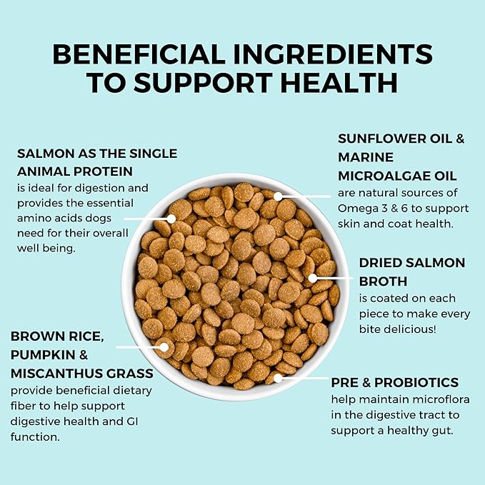 KOHA Limited Ingredient Bland Diet Dry Food for Dogs - Salmon & Brown Rice Recipe, Sensitive Stomach Dog Food with Pre & Probiotics - Pumpkin for Digestive Support, 20 lbs