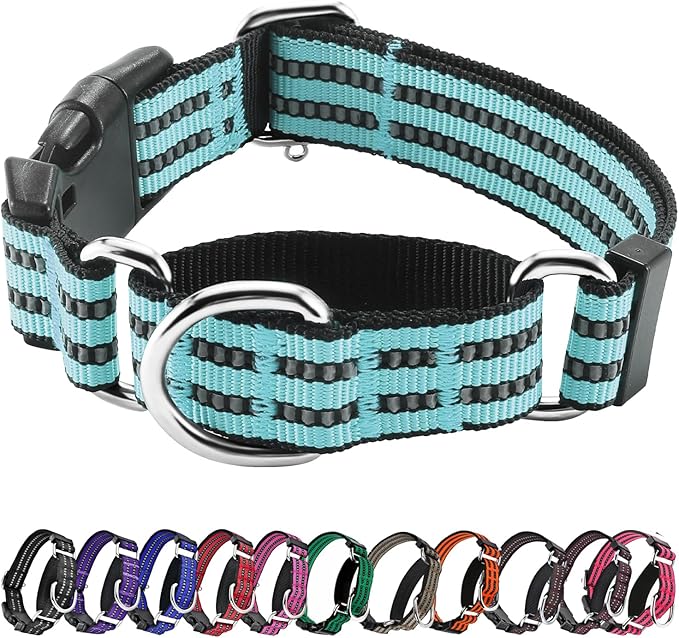 Hikiko Martingale Dog Collars Reflective Nylon Dog Collar with Quick Release Buckle Adjustable Training No Slip Dog Collar (Large, Sky Blue)