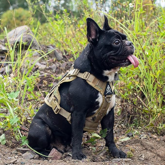 OneTigris Tactical Dog Harness Vest,No-Pull Service Dog Vest with Hook & Loop Panels,Adjustable Dog Vest Harness for Walking Hiking Training(CamoColor,XS)
