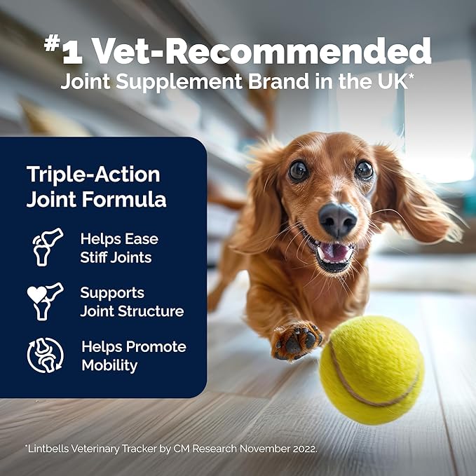 Yumove Dog Joint Supplement, Hip and Joint Supplement for Dogs with Glucosamine Chondroitin, Hyaluronic Acid, Green Lipped Mussel and Omega 3, Dog Hip and Joint Aches and Stiffness (150 Tasty Bites)