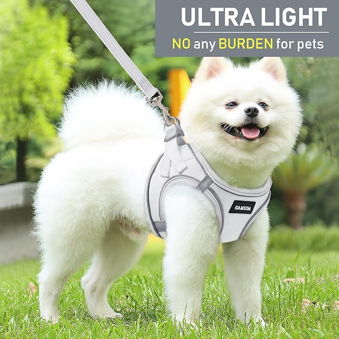 GAMUDA Small Pet Harness Collar and Leash Set, Step in No Chock No Pull Linen Fabric Soft Mesh Dog Vest Harnesses Reflective for Dogs Puppy Cats Kitten Rabbit (White, S)