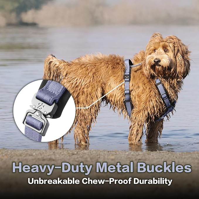 PawsPassion Dog Harness for Medium Dogs, No Pull Dog Harness Easy Walk with Metal Hardware, Ergonomic Y-Shaped Design, Soft Padding, Padded Handle, Durable High-Tensile Nylon (Lilac Breeze, M)