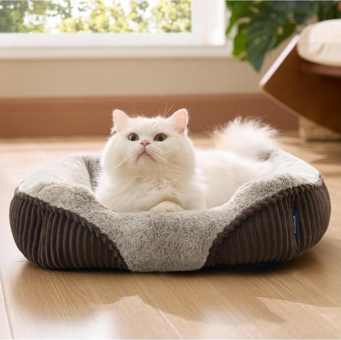 Bedsure Washable Dog Bed Small Dog＆Cat- Rectangle Fluffy Plush Kitten Puppy Bed, Comfy Corduroy Fleece and Nonskid Bottom,20x19x6inches,Suitable for Pet Up to 15lbs,Brown
