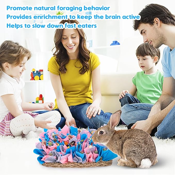 VCZONE 16" x 8" Rabbit Seagrass Snuffle Mat , Pure Hand-woven Felt Cloth Pet Foraging Mat, Enrichment Toy Bed Activity Mat for Rabbits, Bunny, Guinea Pigs, Ferrets, Chinchillas, Small Animals (16*8in)