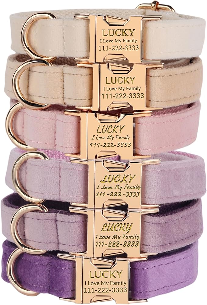 PETDURO Personalized Dog Collars Fancy Velvet for Large Medium Girl Dog - Custom Dog Collar with Name Engraved Metal Buckle - Multi-Color - Leash, Bow Tie, Harness and Poop Bag Holder Optional (XS)