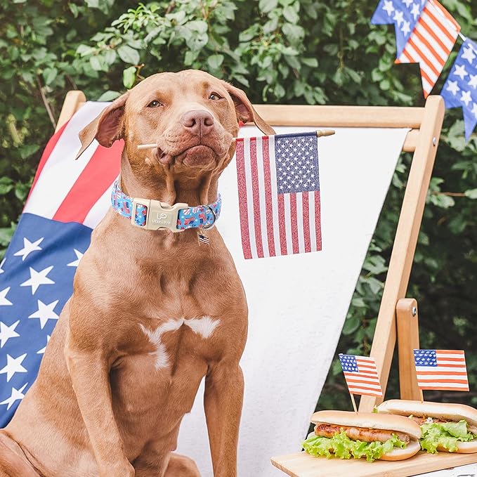 4th of July Dog Collar–American Flag Dog Collars,Patriotic Stars & Baseball Pet Collar with Quick Release,Adjustable for Small/Medium Dogs