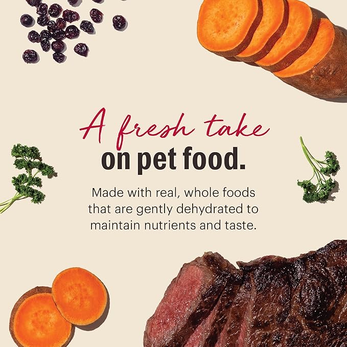 The Honest Kitchen Human Grade Wholemade™ Dehydrated Grain Free Beef Dog Food, 2 lb Bag