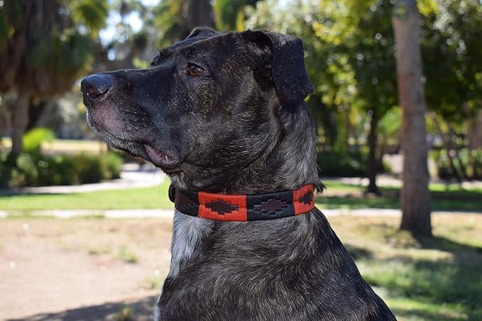 Gaucho Goods Leather Dog Collar - Moab (S)