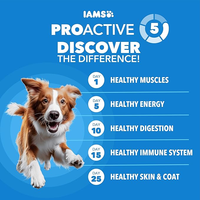 IAMS Proactive Health Healthy Weight Control Adult Dry Dog Food with Real Chicken, 7 lb. Bag