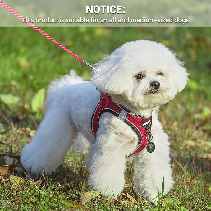 Dog Harness and Leash Set, Dog Harness for Dogs No Pull, No-Chock Step-in Reflective Breathable Lightweight Easy Walk Vest Harnesses with Safety Buckle for Small Medium Dogs, Cats (Red, XL)