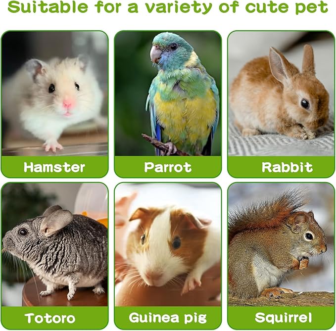 Hamster Snacks, Bird Treats, Hamster Chew Toys, Guinea Pig & Chinchilla Grinding Toys