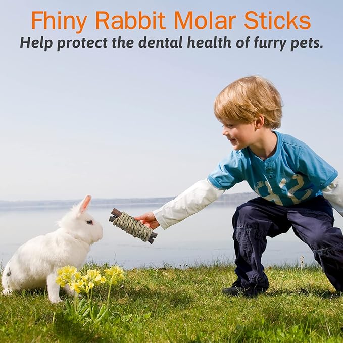 Fhiny 12 PCS Guinea Pigs Chew Toys, Natural Apple Branch Seagrass Molar Sticks for Teeth Bunny Chew Toys Cage Accessories for Guinea Pigs Rabbit Bunny Hamster Chinchilla