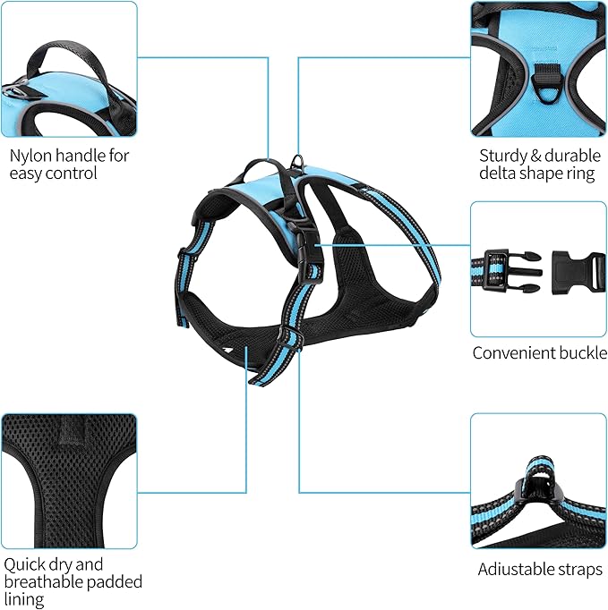 Blue No-Pull Dog Harness with 2 Leash Clips，Soft Padded Vest for Small Dog, Adjustable Reflective Dog Vest Easy to Put on and Take Off,(Neck: 13"~17", Chest: 17"~21",Blue Small)