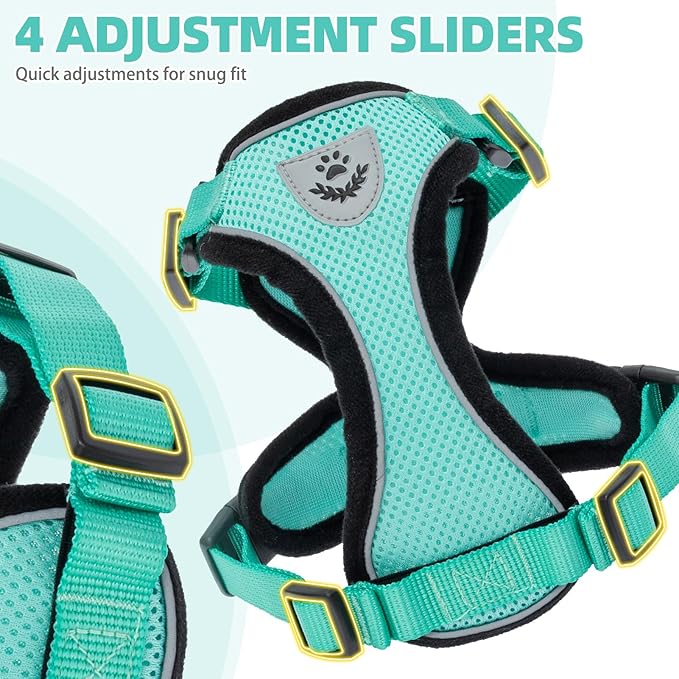 PUPTECK Cat Harness and Leash Set Escape Proof Reflective Cat Walking Harness Adjustable Soft Breathable Mesh Vest for Small Pets, Aquamarine, M
