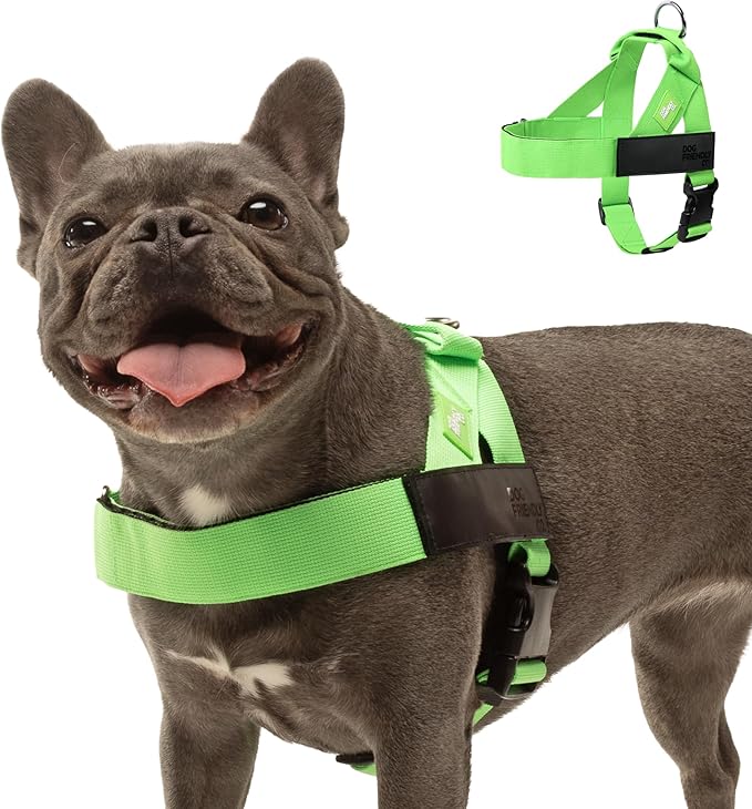 DF Co. Dog Harness | Chafe Resistant Webbing, Adjustable Neck & Chest, and Heavy Duty D-Ring | Sturdy, Comfortable, Easy to Use | Neon Green, Size XL
