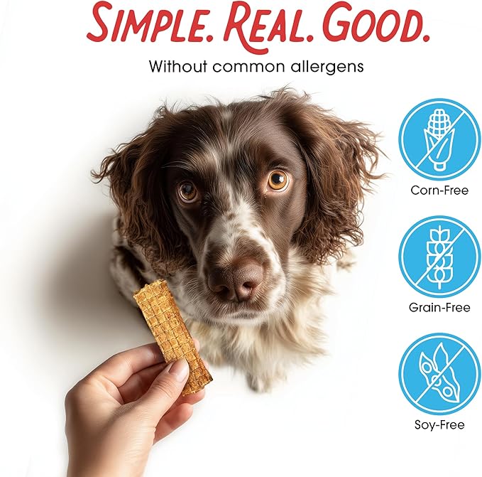 Farmland Traditions Dogs Love Chicken Jerky Dog Treats, Premium Two-Ingredient Dog Jerky with USA-Raised, Human-Grade Chicken & No Antibiotics Ever, 1 Pound (Pack of 1) Bag