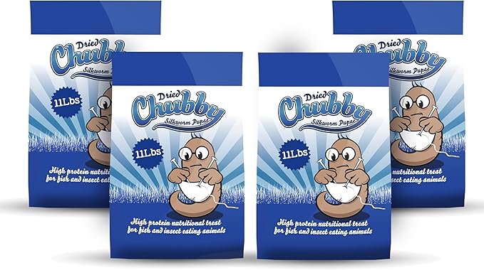 Chubby Dried Silkworm Pupae | 44?lbs | High-Protein Treat for Koi, Fish, Reptiles & Terrapins – Nutrient-Rich Calcium Snack