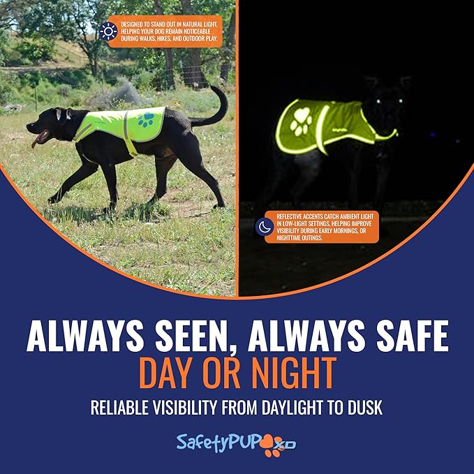 SafetyPUP XD Dog Reflective Vest – Hi-Vis Fluorescent Visibility That Helps to Safeguard Your Pet On/Off Leash in Urban & Rural Areas (Yellow, Medium)