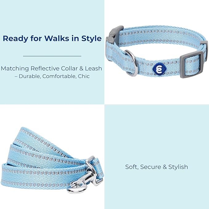 Blueberry Pet Dog Leash & Collar Set - Puppy Essentials, Gentle Leader for Dogs, Adjustable for Small Dogs, Reflective Safe Walking Gear, Fashion for Girl Dog Owners, Heavy Duty Leashes