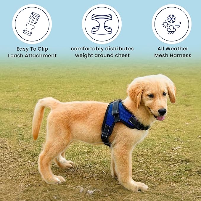 No Pull Reflective Adjustable Dog Harness With Handle- Comfortable Soft All Weather Mesh, Easy On Puppy Harness For Small Medium and Large Dogs (Blue) X-Large