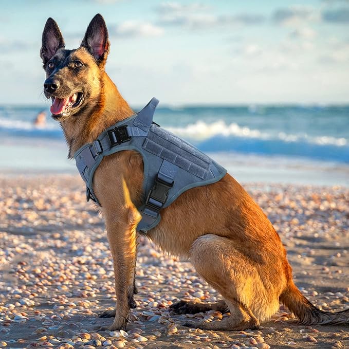 rabbitgoo Tactical Dog Harness for Small, Heavy Duty Pet Harness with Handle, No-Pull Service Vest Small Breed, Adjustable Military Dog Vest for Training Hunting Walking, Blue, S