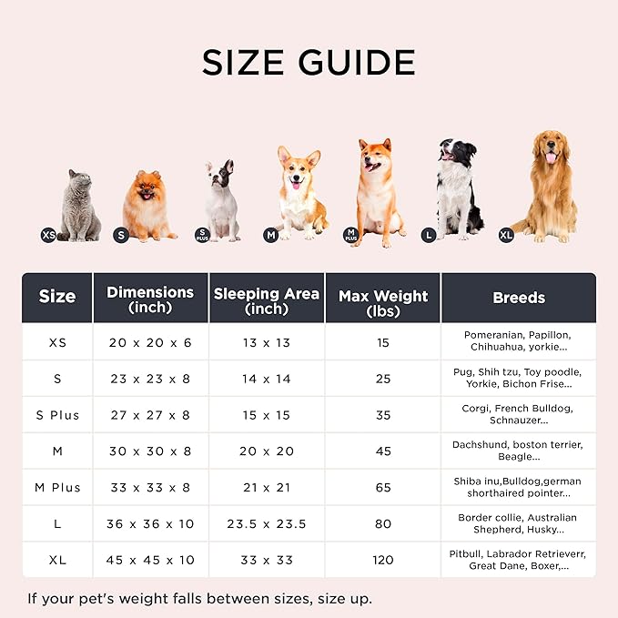 Bedsure Calming Cat Beds for Indoor Cats - Small Cat Bed Washable 20 inches, Anti-Slip Round Fluffy Plush Faux Fur Pet Bed, Fits up to 15 lbs Pets, Black