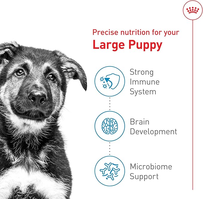Royal Canin Size Health Nutrition Large Puppy Dry Dog Food, 30 lb Bag
