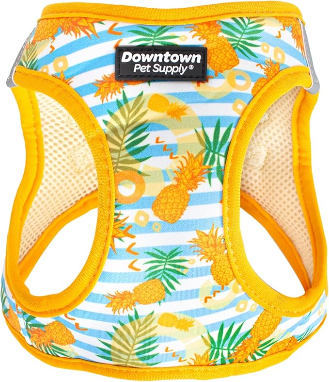 Downtown Pet Supply Step-in Dog Harness – No Pull, Adjustable Padded Mesh with Reflective Trim, Secure Buckle Strap – Comfortable & Breathable Small Dog Harness, X-Small, Pineapple