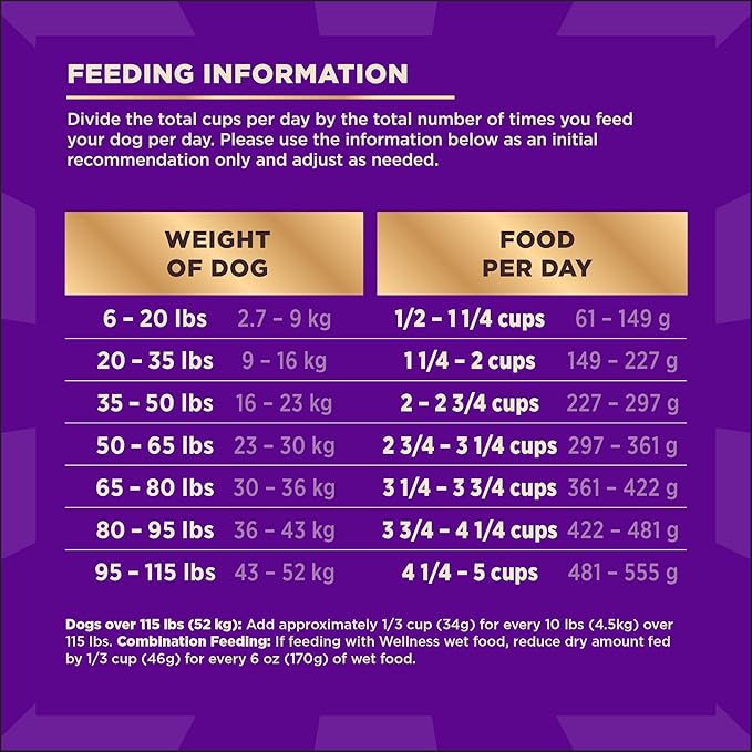 Wellness CORE+ Dry Dog Food with Freeze Dried Pieces, Wholesome Grains, High Protein, Natural, Beef & Barley Recipe, (18-Pound Bag)