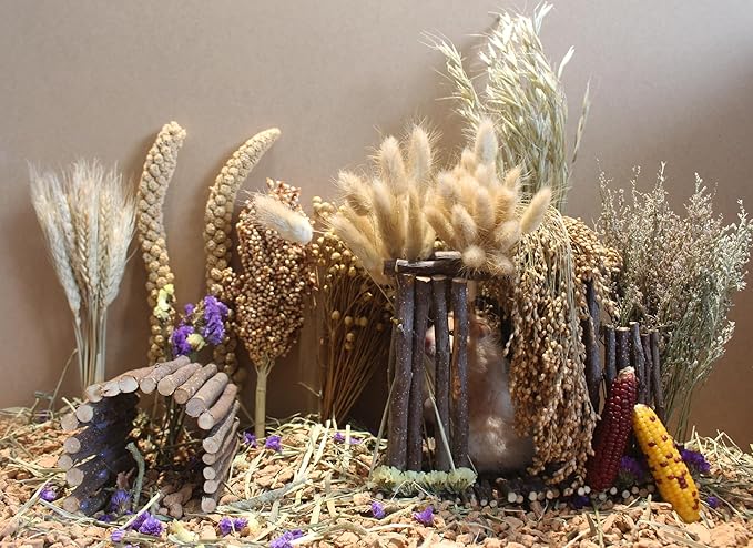Natural Hamster Bedding Flowers Herbs Sprays Treat for Cage Habitat Enclosure Decor for Dwarf Syrian Gerbils Mice Mouse Rat Pet Accessories Supplies