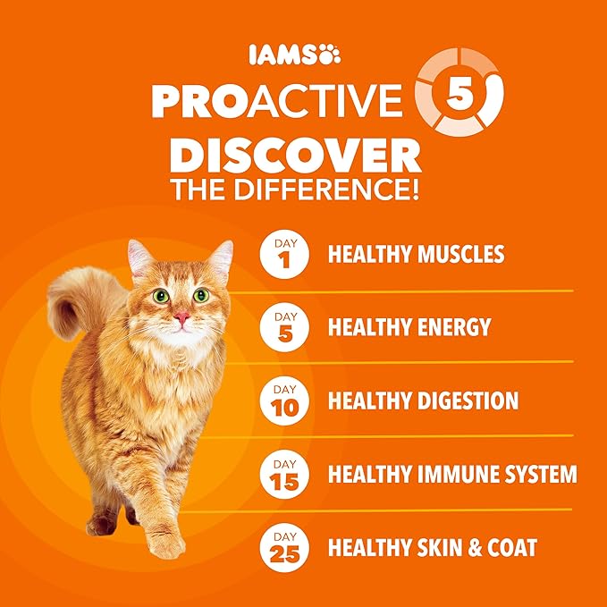 IAMS Proactive Health Adult Healthy Dry Cat Food with Real Salmon, 3.5 lb. Bag