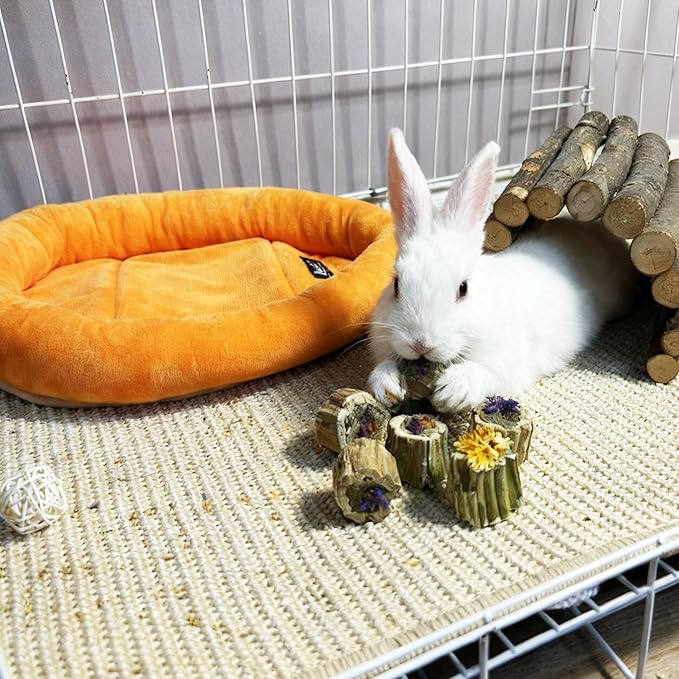 Rabbit Chew Toys Guinea Pig Treats Natural Papaya Wood Chew Sticks for Teeth Bunny Guinea Pig Hamster Chinchilla