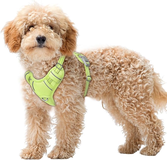 BARKBAY No Pull Dog Harness Large Reflective Dog Harness with Front Clip and Easy Control Handle for Walking Training Running with ID tag Pocket(Sunlight,XS)