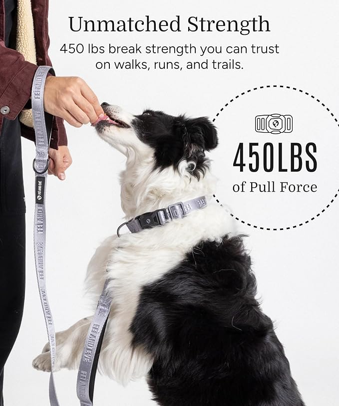 2025 New Edition, Fei & Eve MagEase Dog Collar - Patented Magnetic Buckles | Fur-Safe | Premium 210D Nylon | 450LB Escape-Proof | Adjustable Fit | Medium (Twilight Gray)